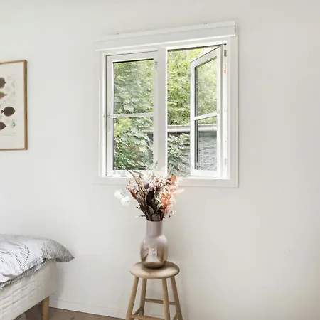 The Small Oasis With Vibes In Dronningmolle